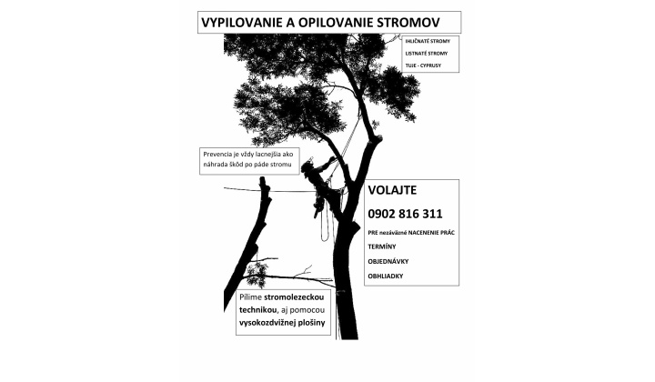 Fotka pre článok Fák kivágásása és megbotolása - Vypilovanie a opilovanie stromov