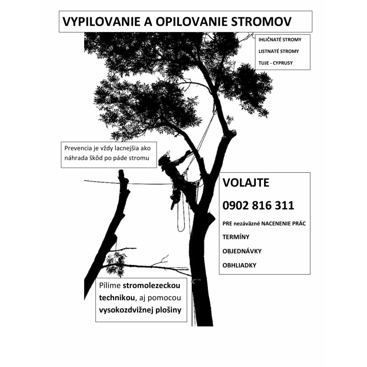 Menšia fotka pre článok Fák kivágásása és megbotolása - Vypilovanie a opilovanie stromov